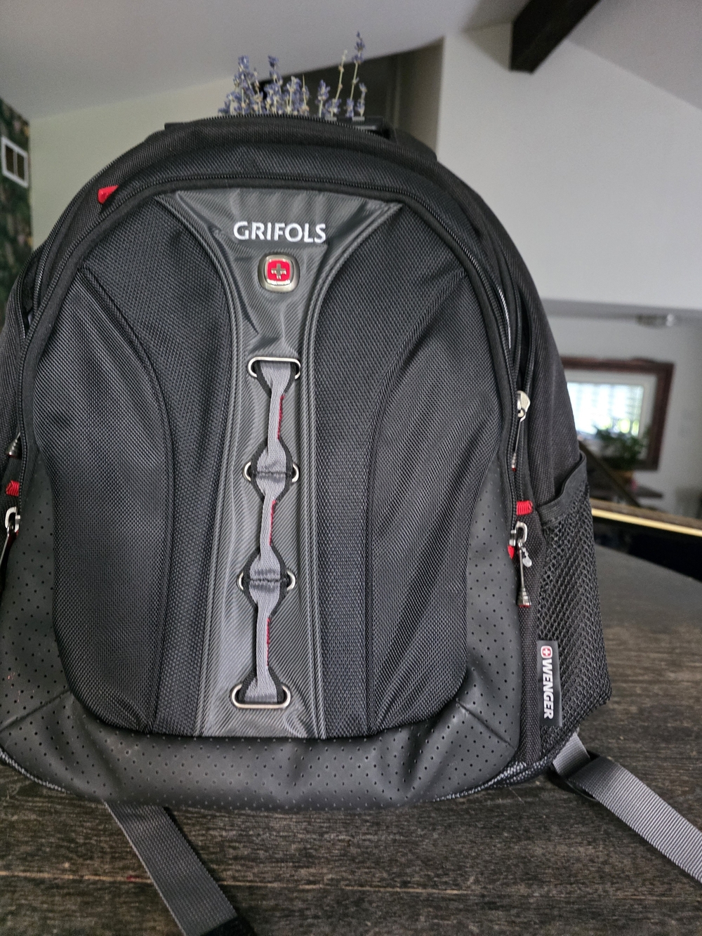 Backpack with Red Accents - Professional Travel Pack.